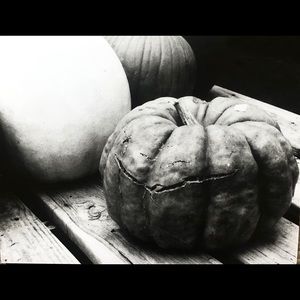 Wallart-8x10 printed photography. Pumpkins